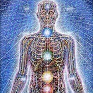 Body system image